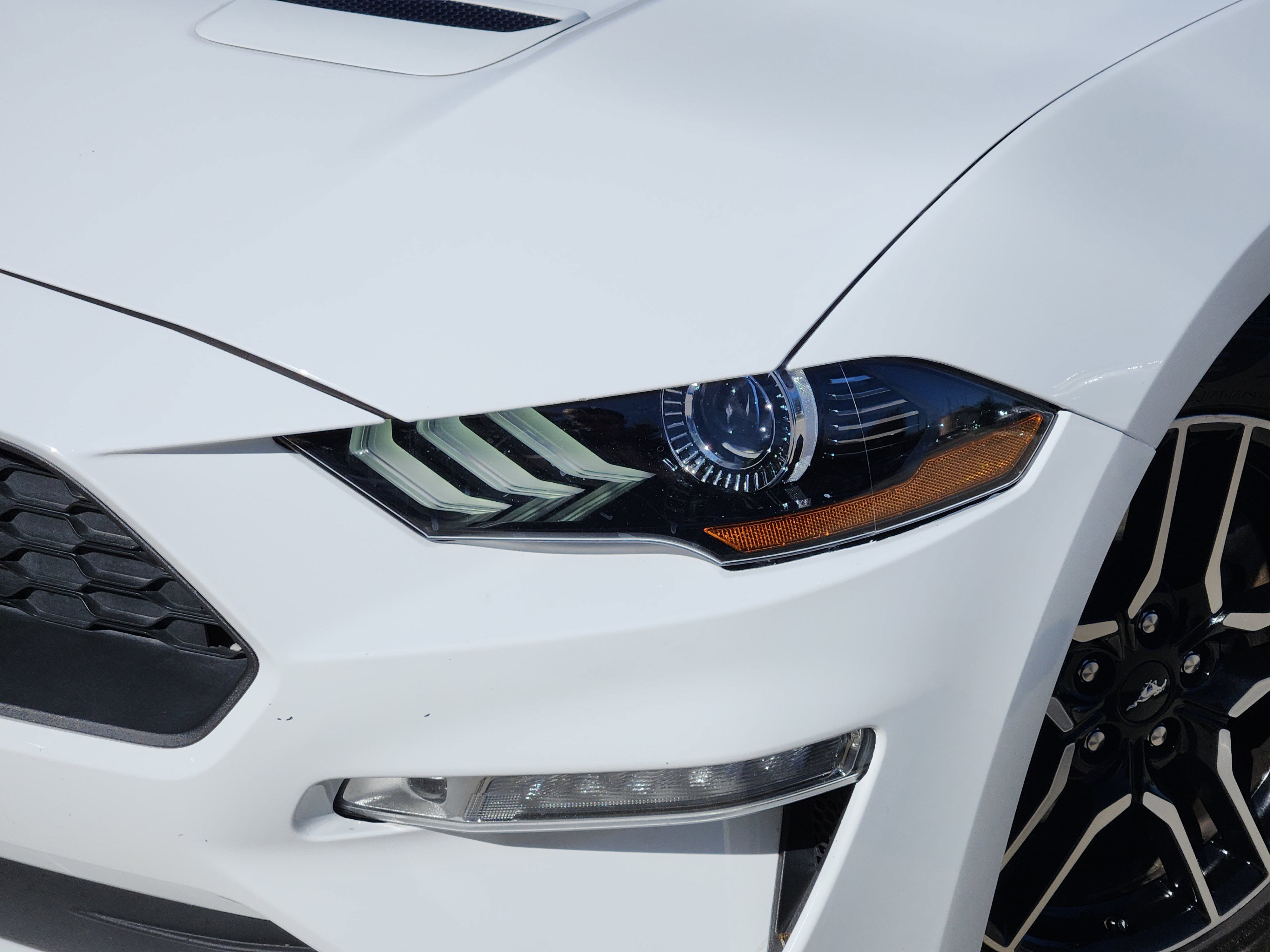 2019 Ford Mustang EcoBoost Premium